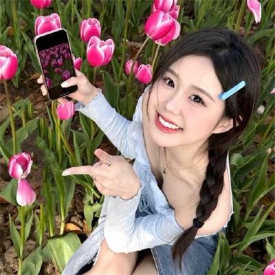 飞吧!